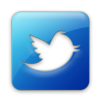 Contact us on customsites.co twitter tag